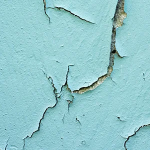 Lead Paint Inspections