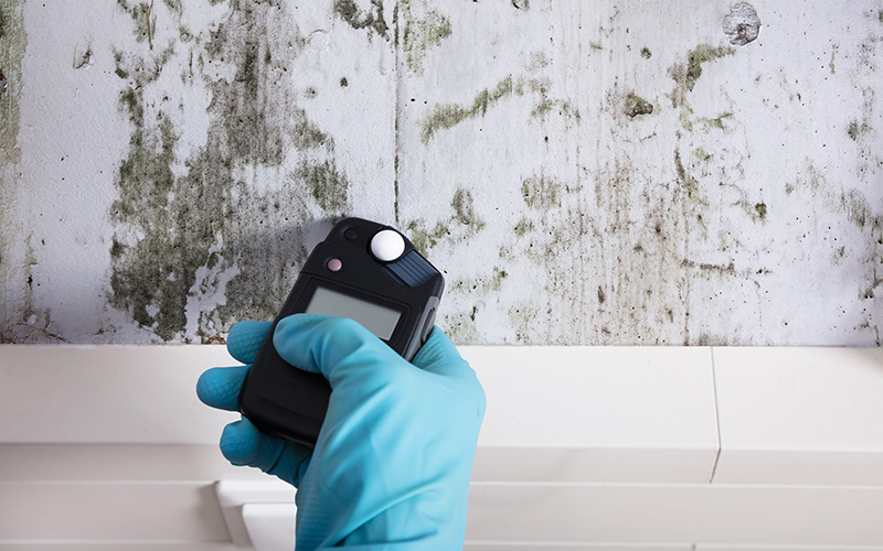 Mold & Radon Testing Home Inspection Services